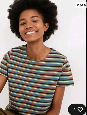 Madewell Luxe Small Multicolor Striped cropped Tee